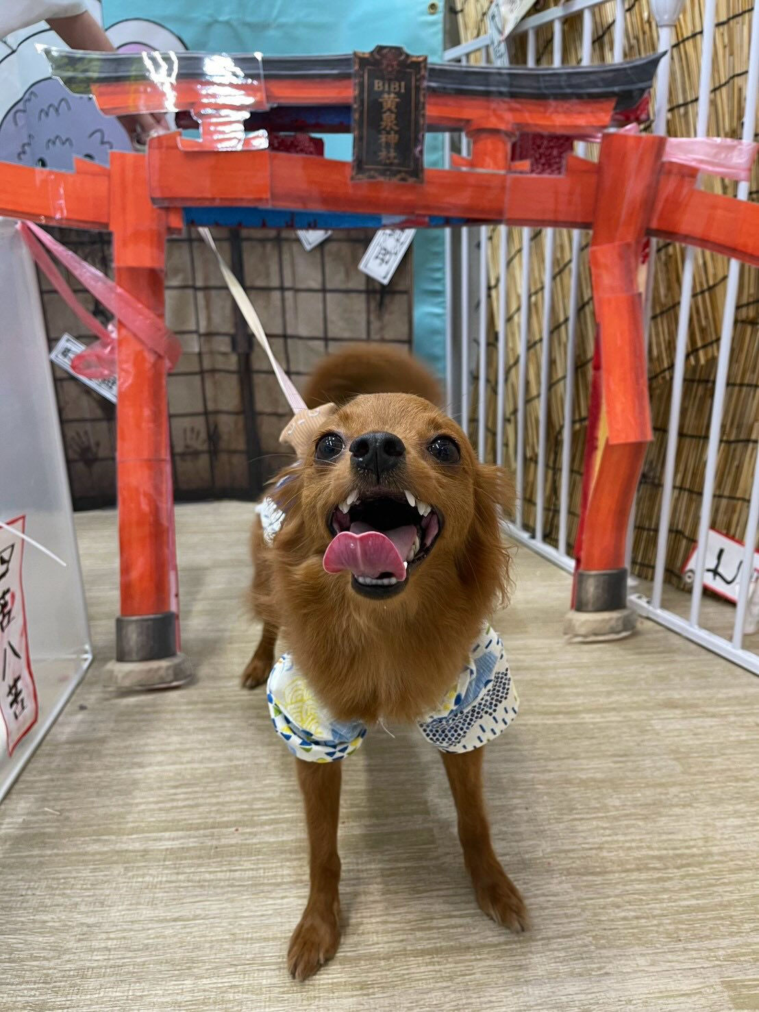 BIBICHE妖怪祭りラストになります😆