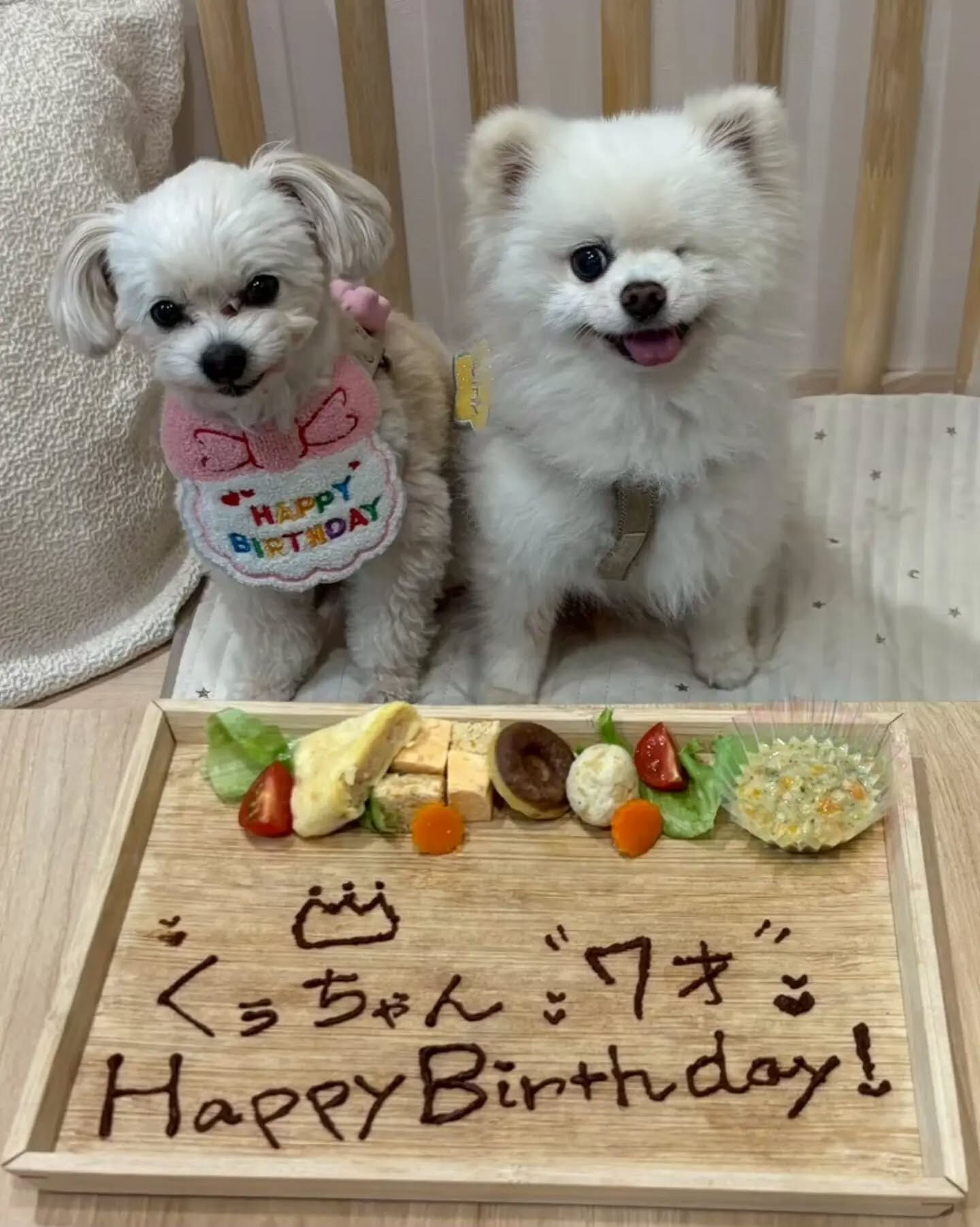 来店わんこのお写真投稿🐶✨