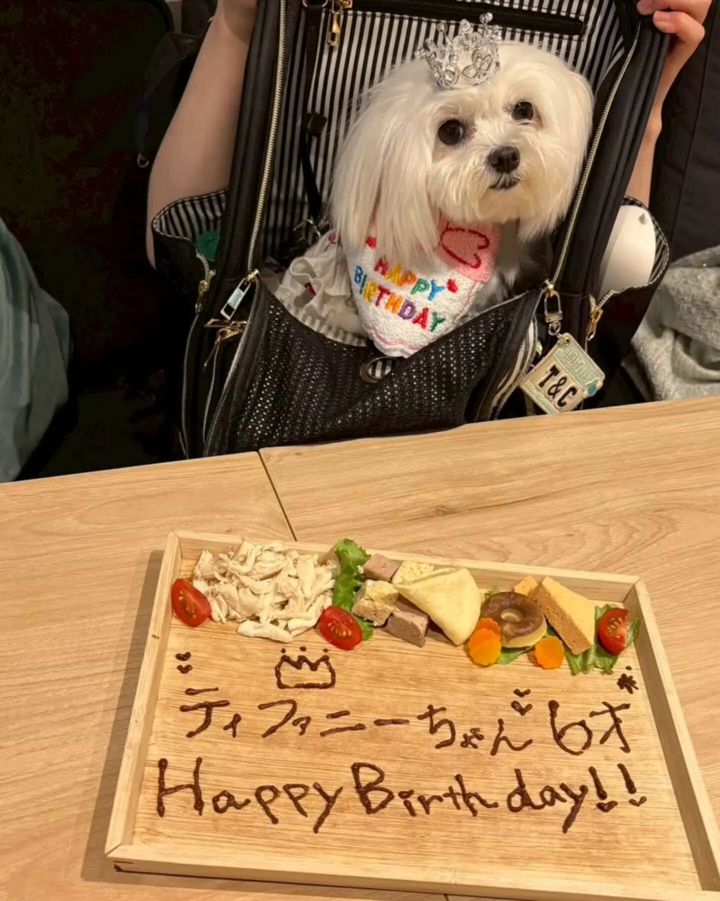 来店わんこのお写真投稿🐶✨