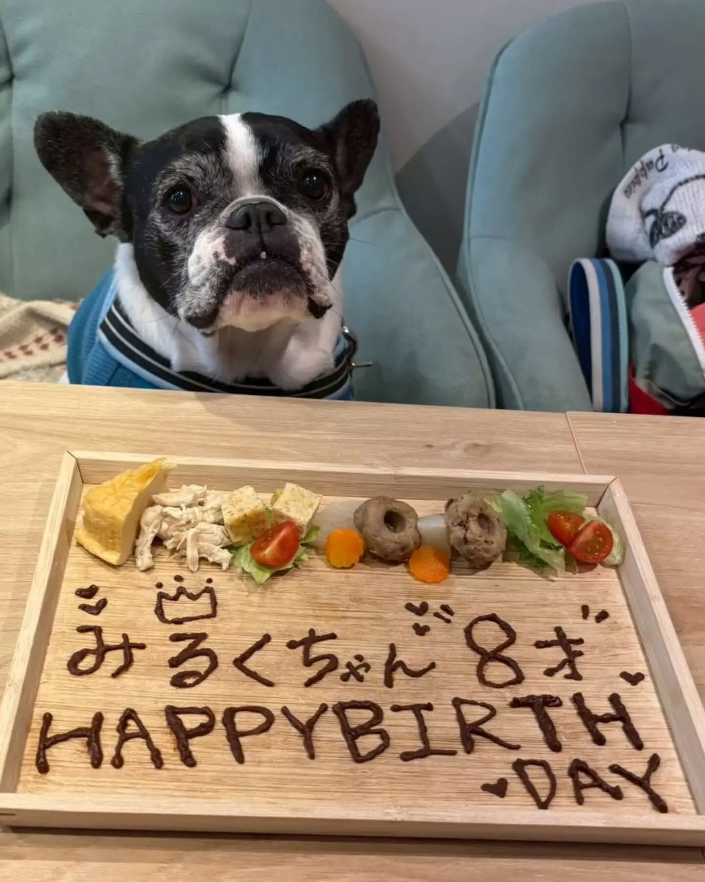 来店わんこのお写真投稿🐶✨