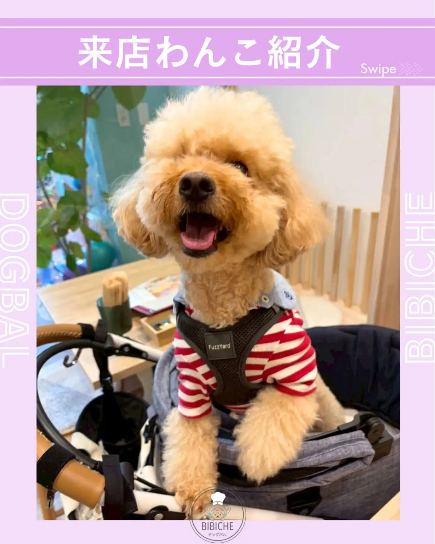ブログ
