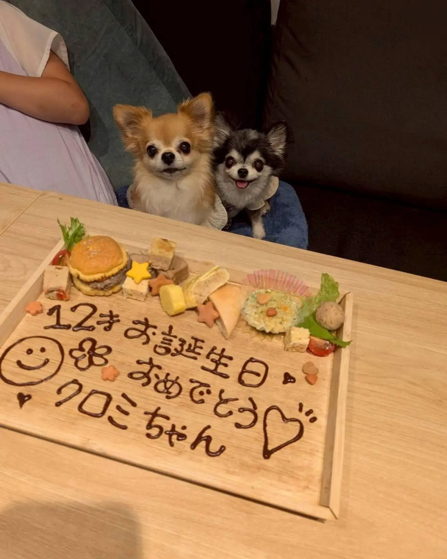 来店わんこのお写真投稿🐶✨