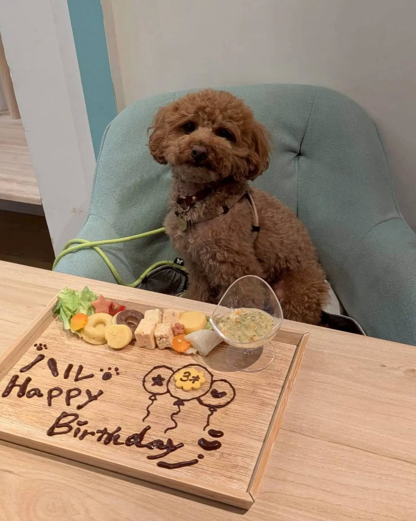 来店わんこのお写真投稿🐶✨