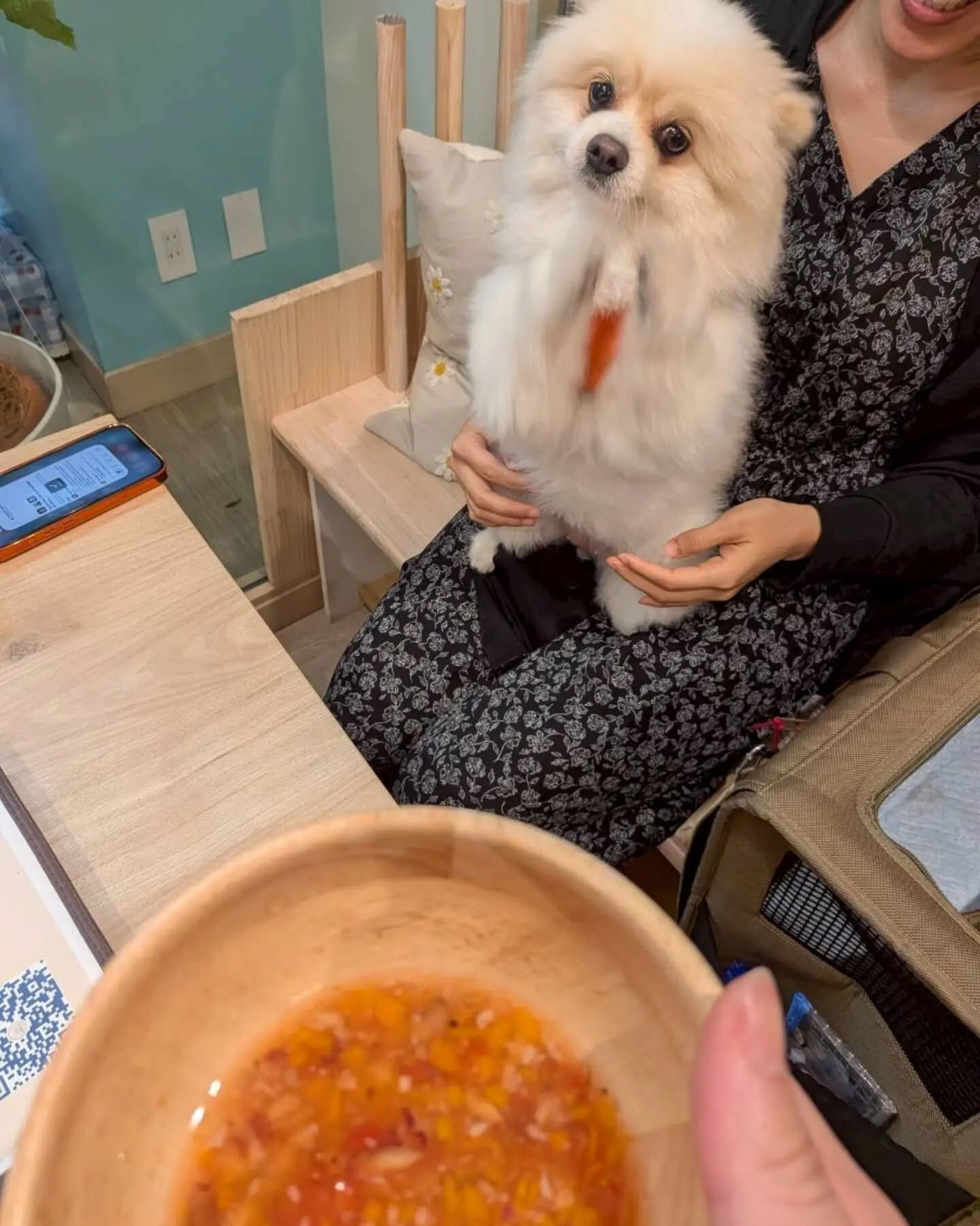 来店わんこのお写真投稿🐶✨