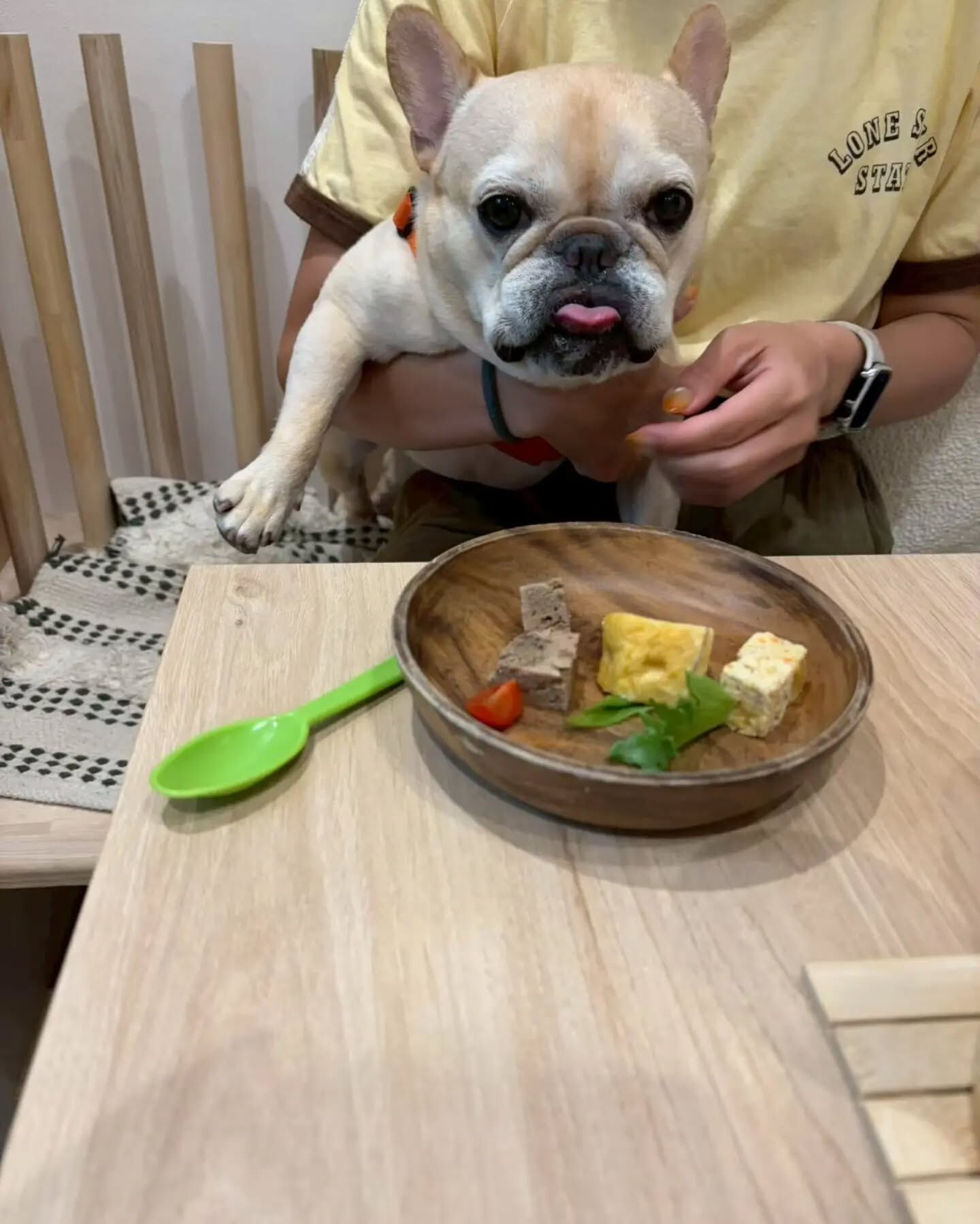 来店わんこのお写真投稿🐶✨
