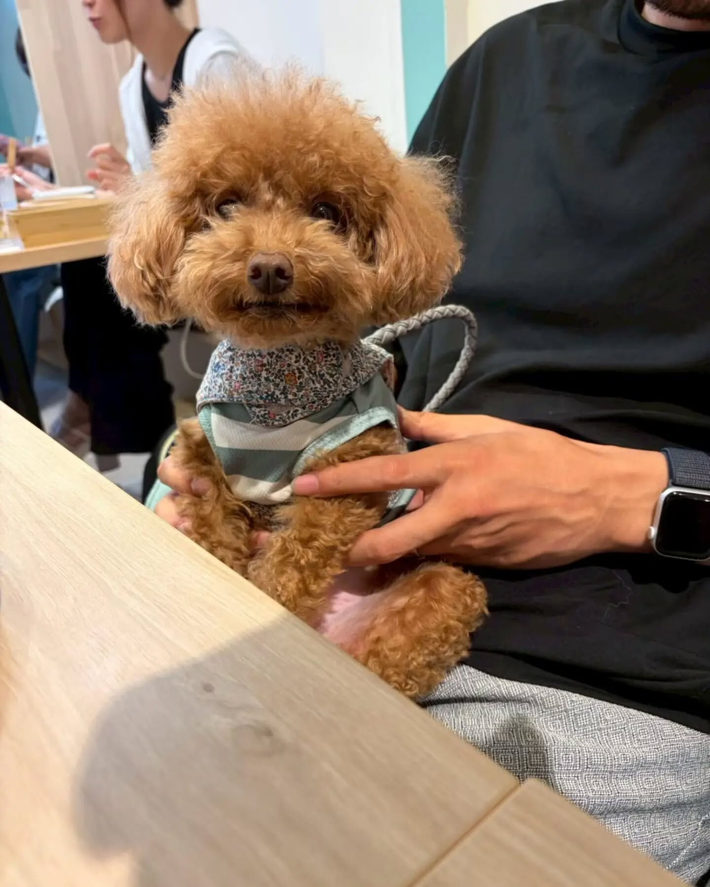 来店わんこのお写真投稿🐶✨
