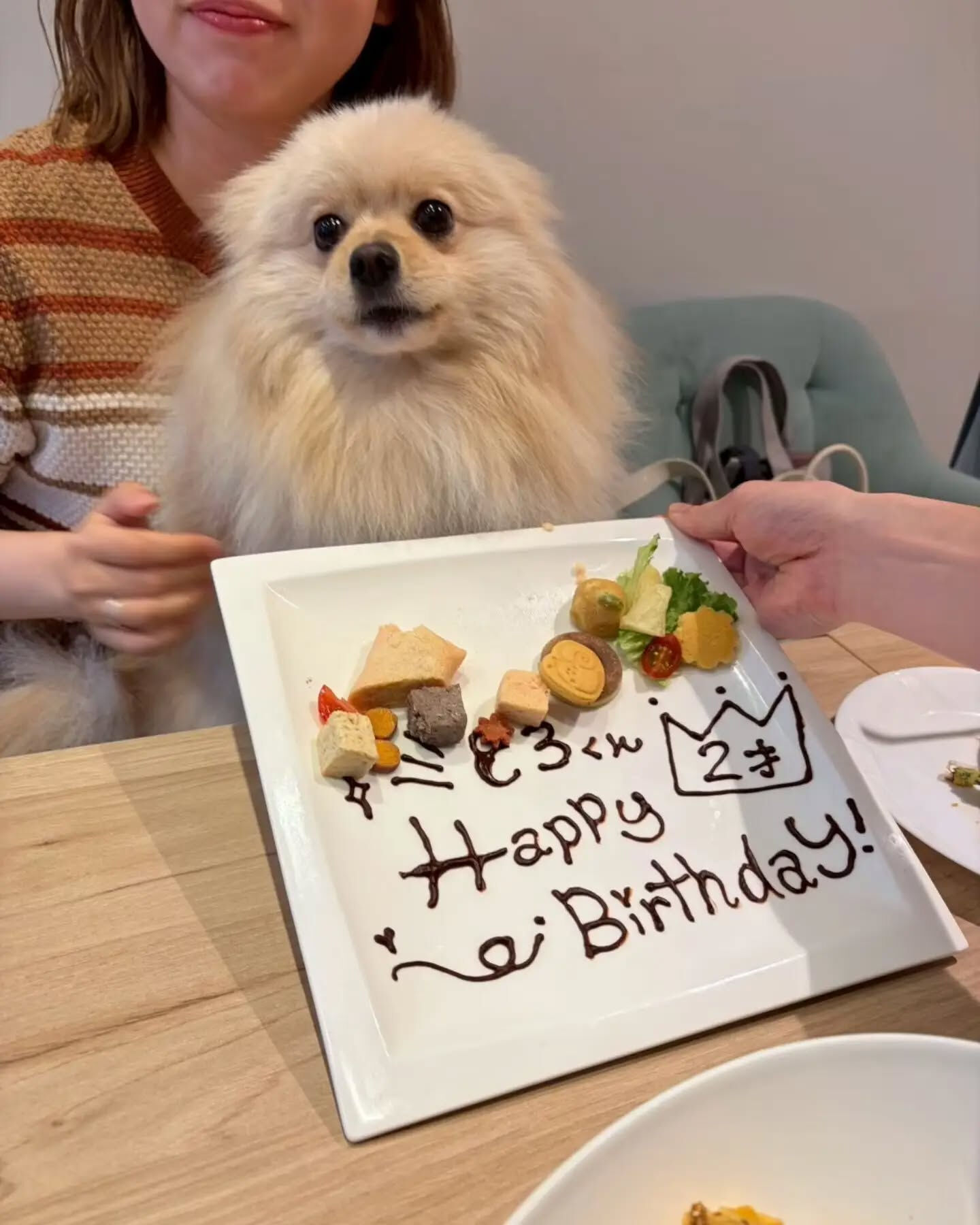 来店わんこのお写真投稿🐶✨
