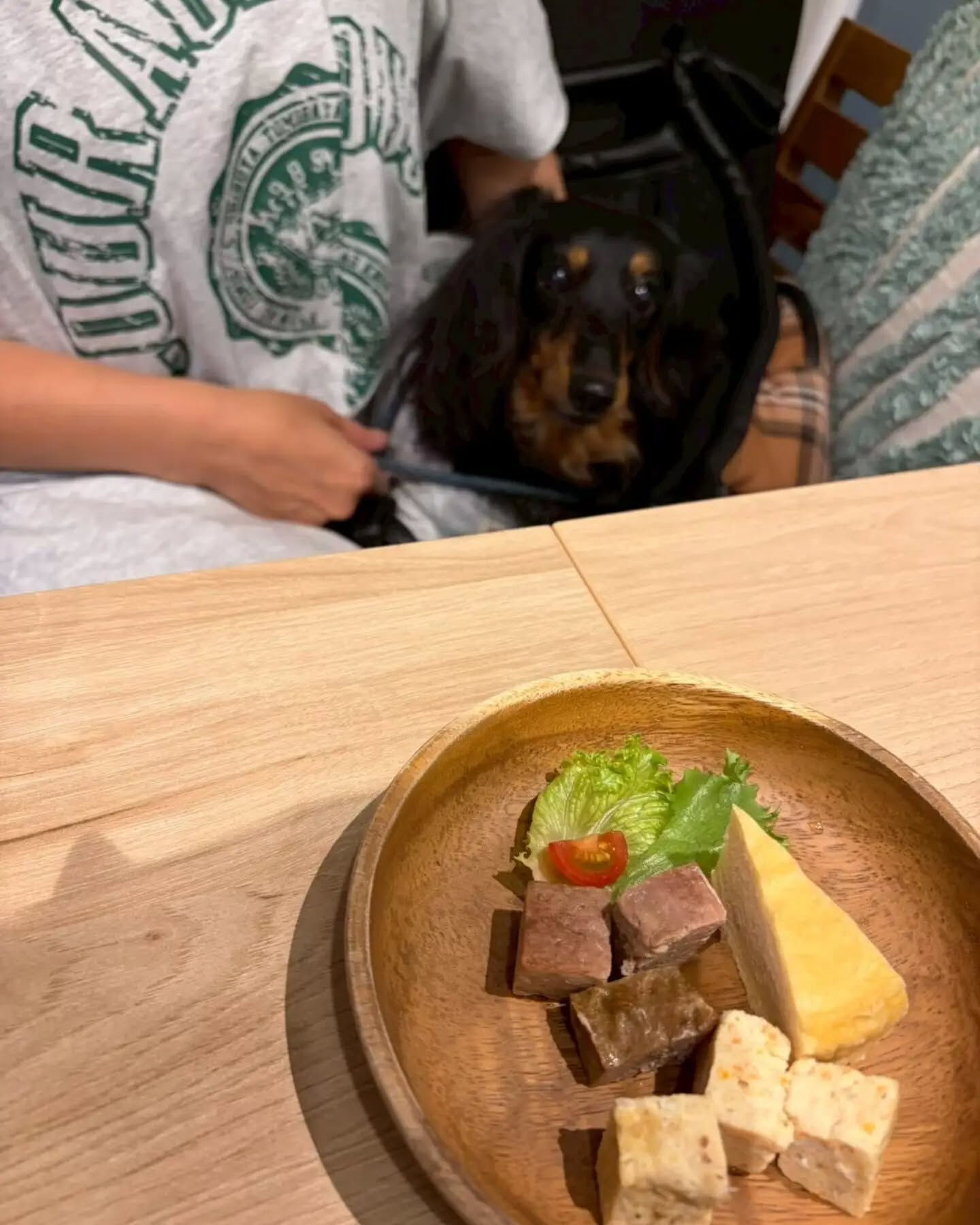来店わんこのお写真投稿🐶✨