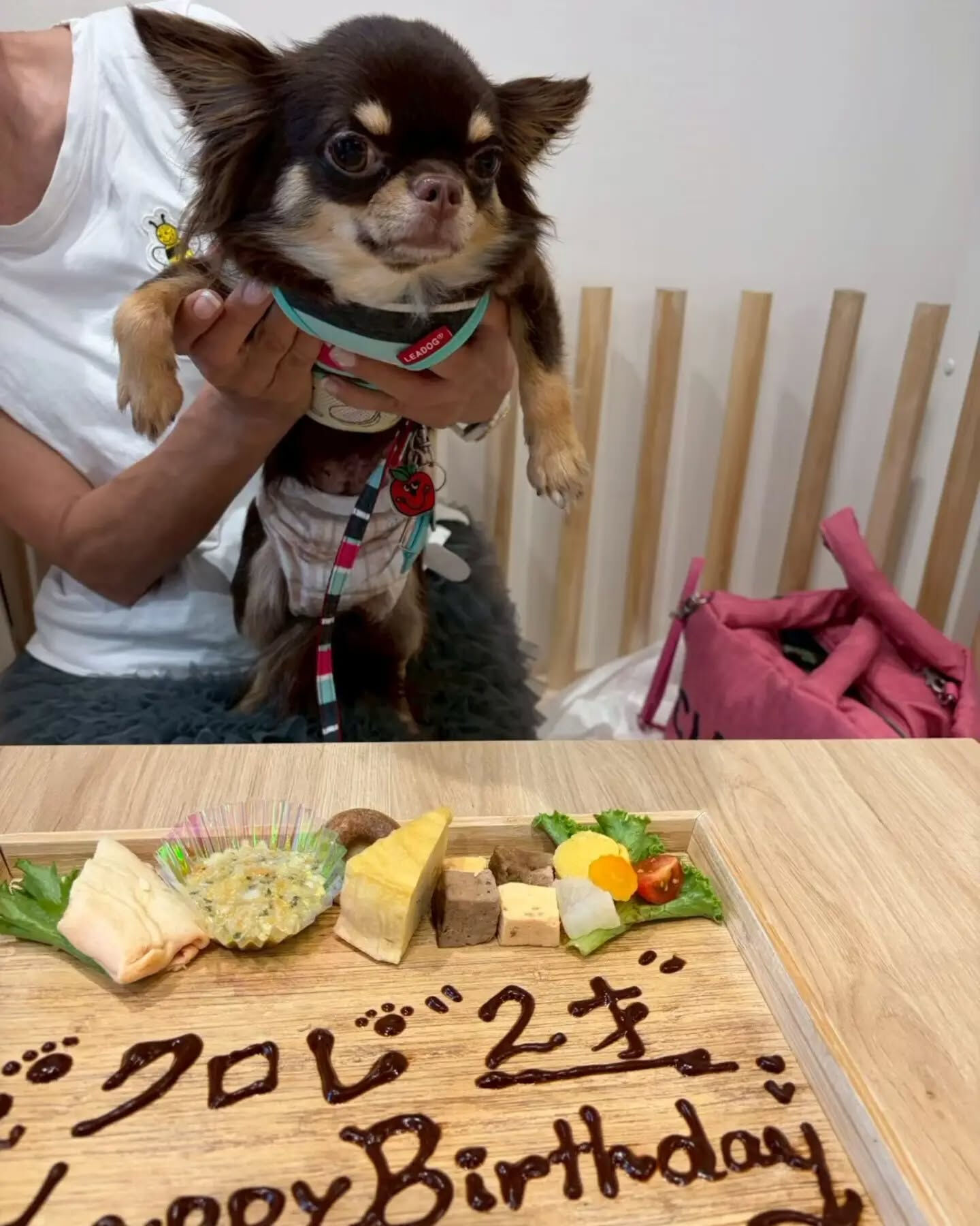 来店わんこのお写真投稿🐶✨