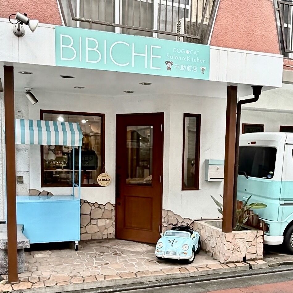 Store